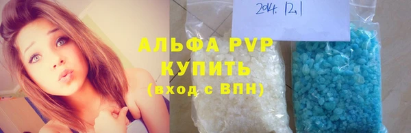 гидра Алексин
