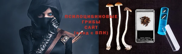 гидра Алексин